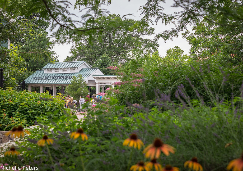 Cincinnati Zoo & Botanical Garden – One-Day Ticket
