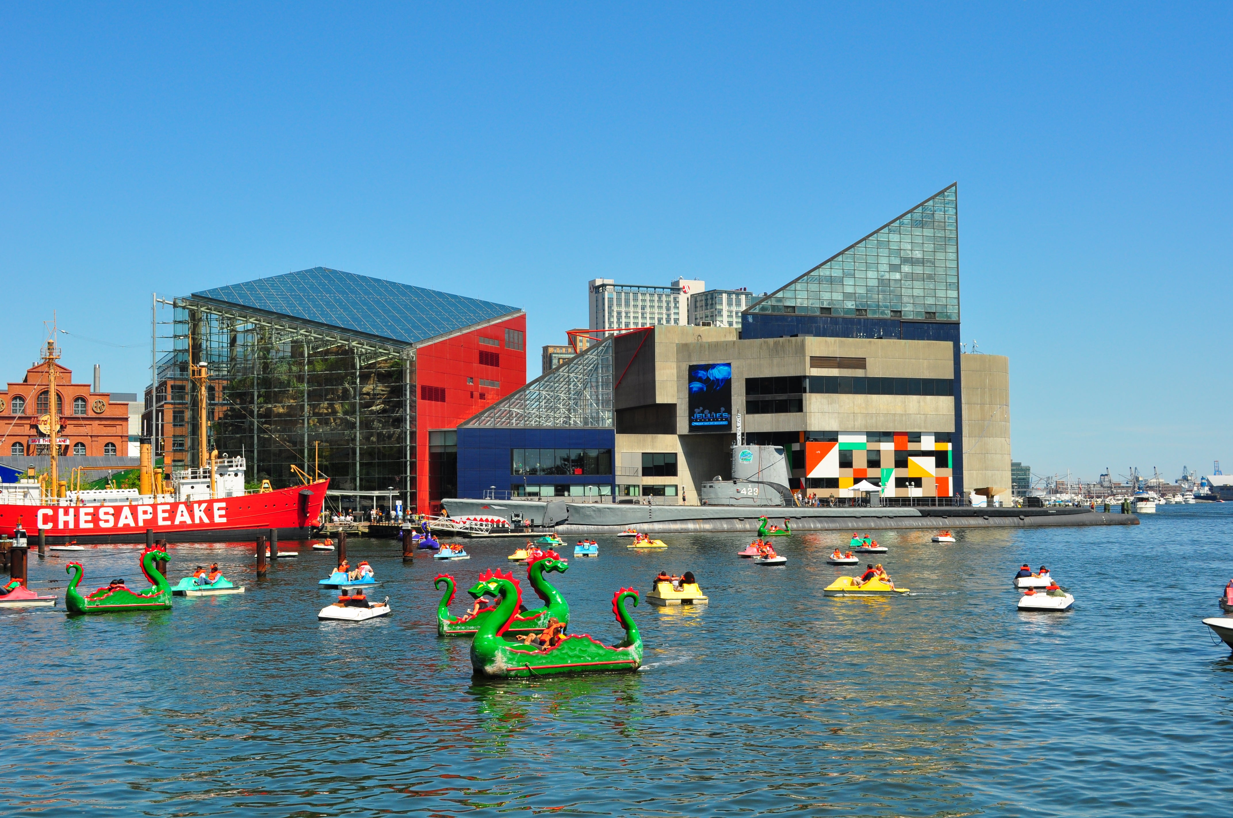 Baltimore National Aquarium 1-Day Ticket