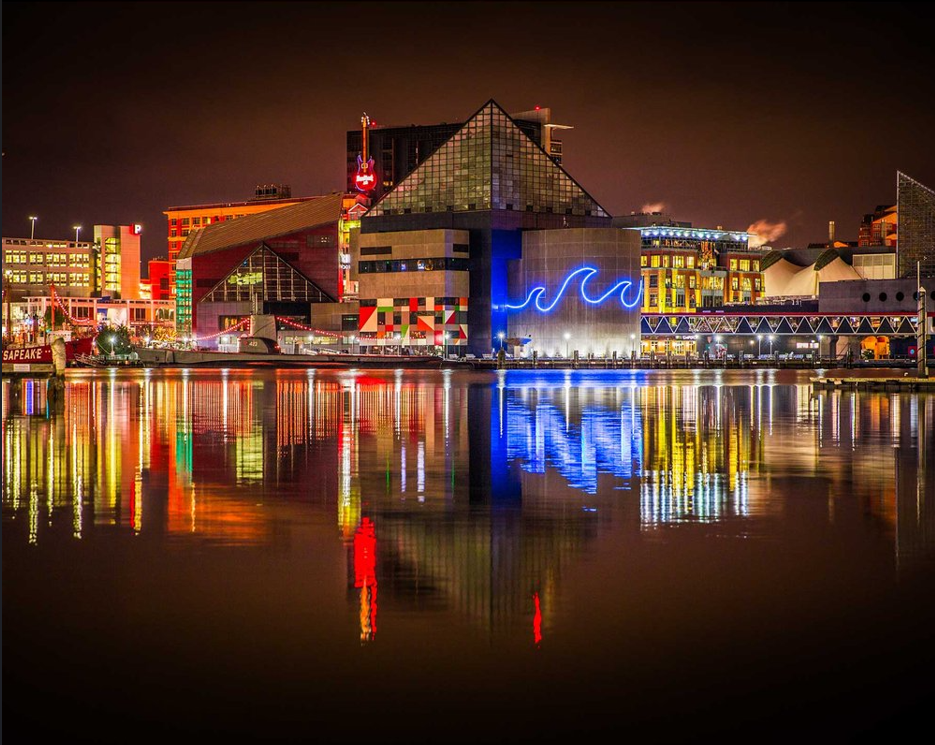 National Aquarium 1-Day Ticket