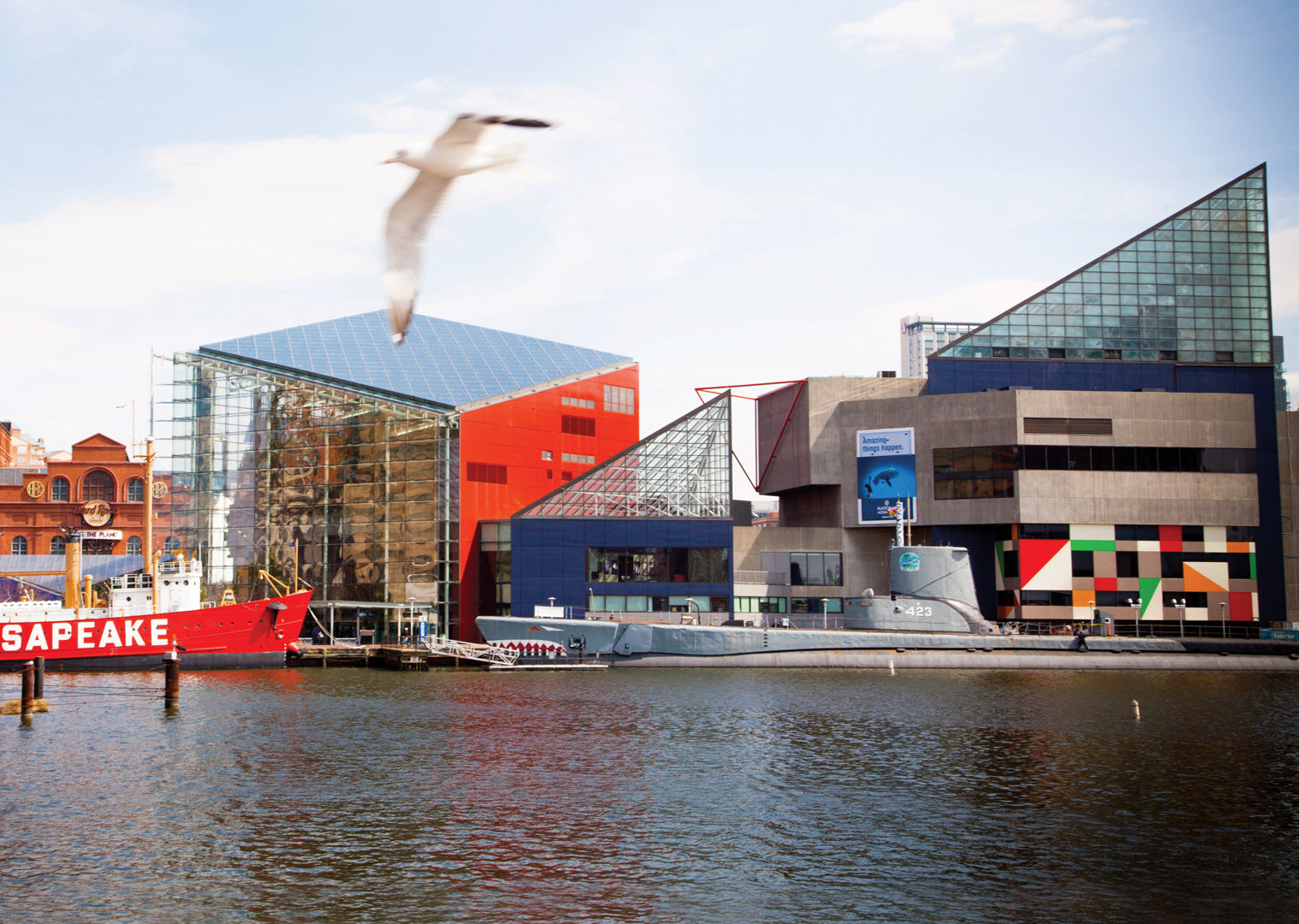 National Aquarium 1-Day Ticket