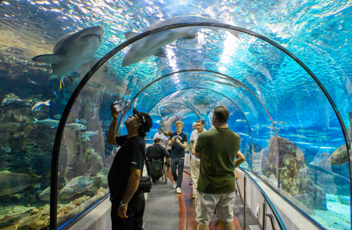 Aquàrium de Barcelona: Entry Ticket