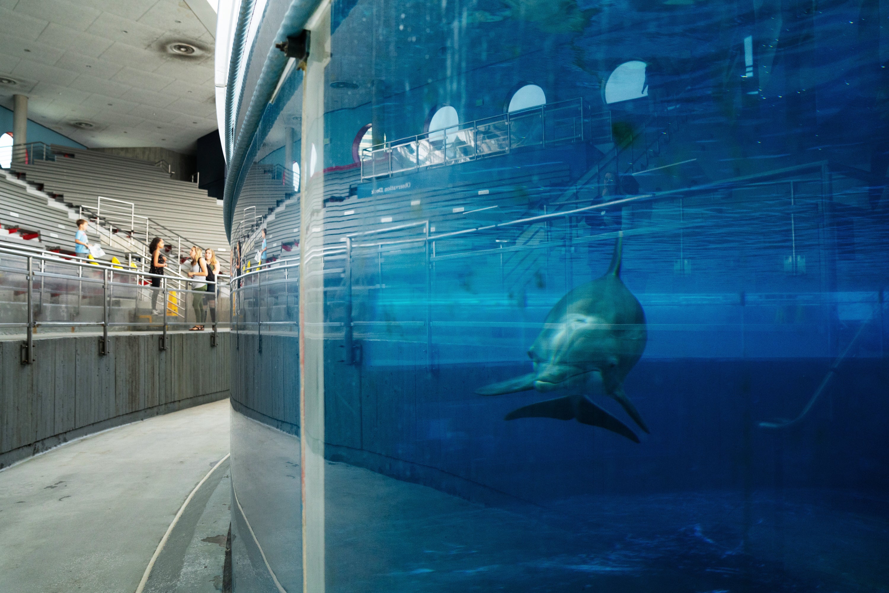 Baltimore National Aquarium 1-Day Ticket