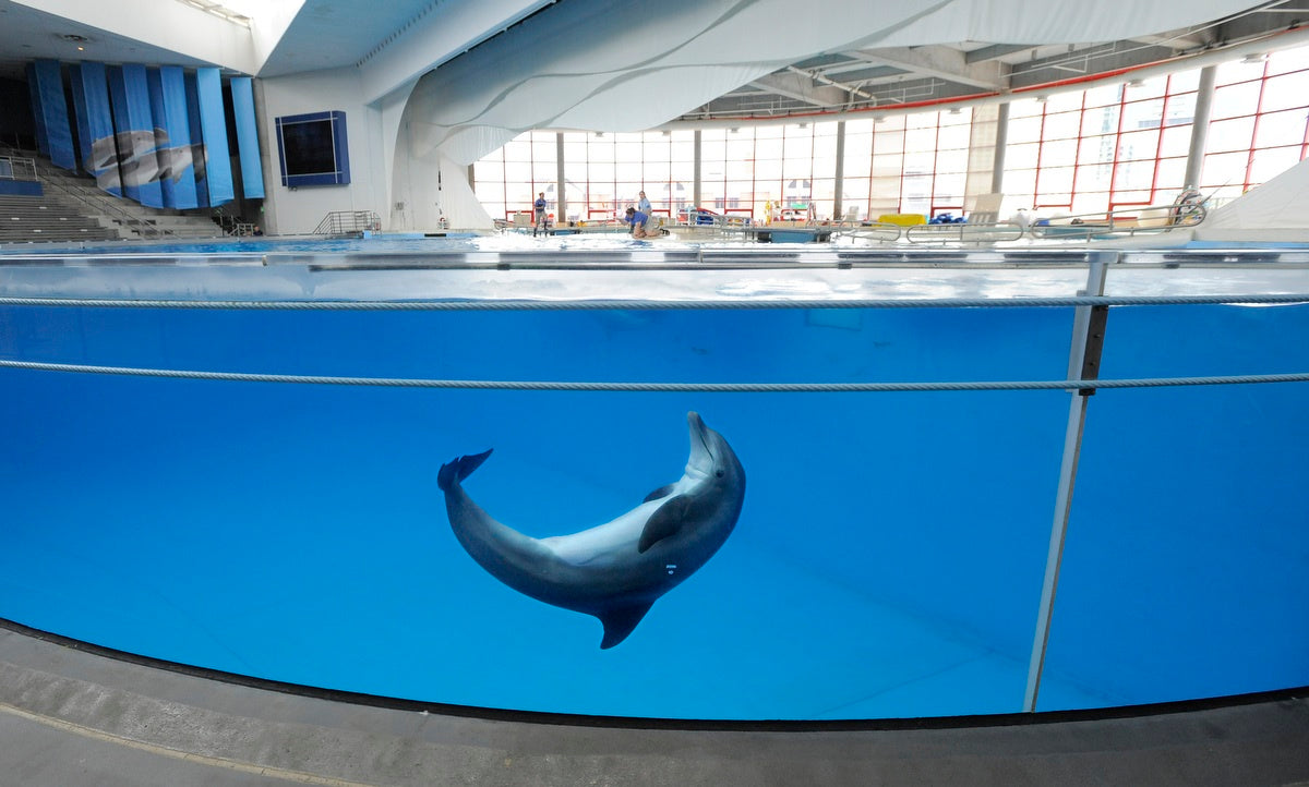 Baltimore National Aquarium 1-Day Ticket