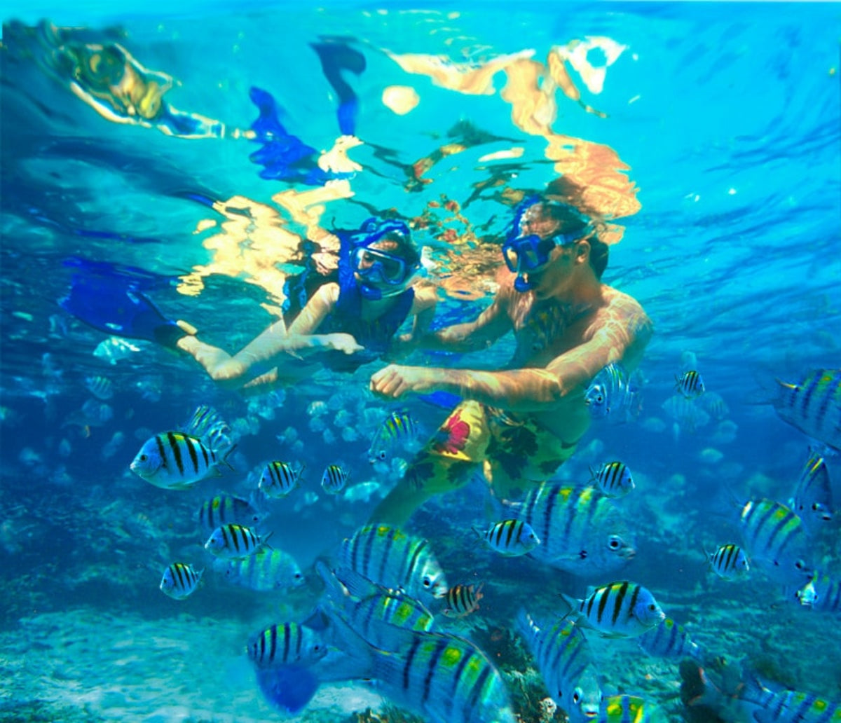 Xel-Há Park – Light Admission: 1 Day Ticket