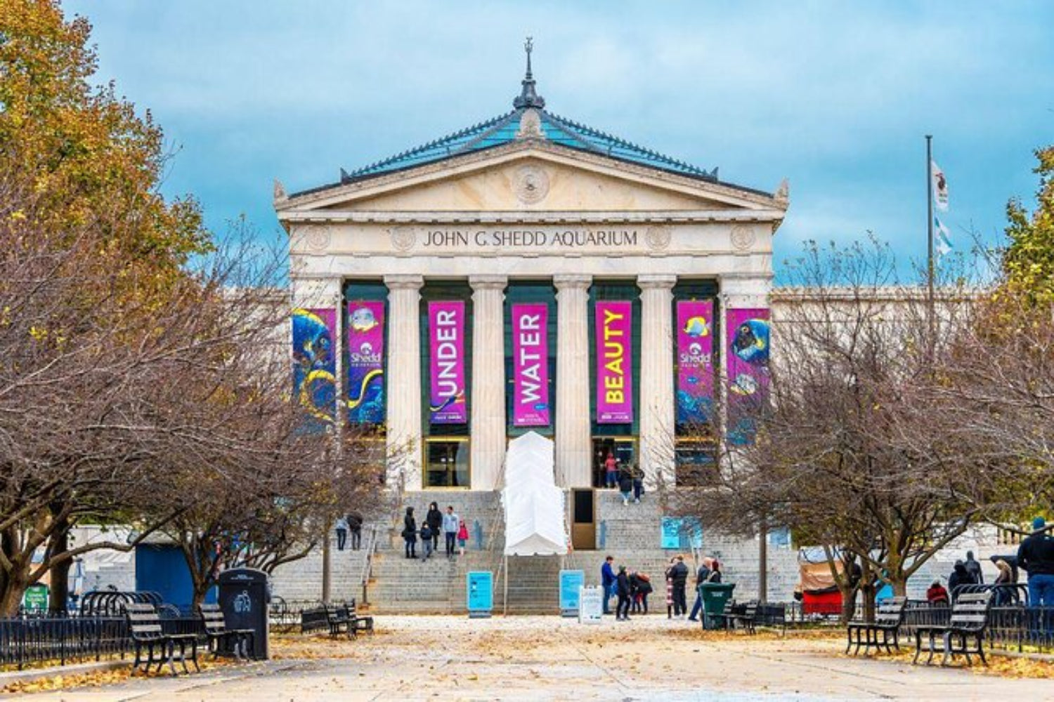 Shedd Aquarium Chicago 1-Day Ticket